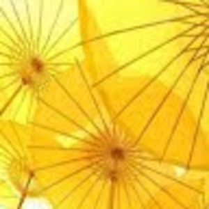 Meet your Posher, Lily